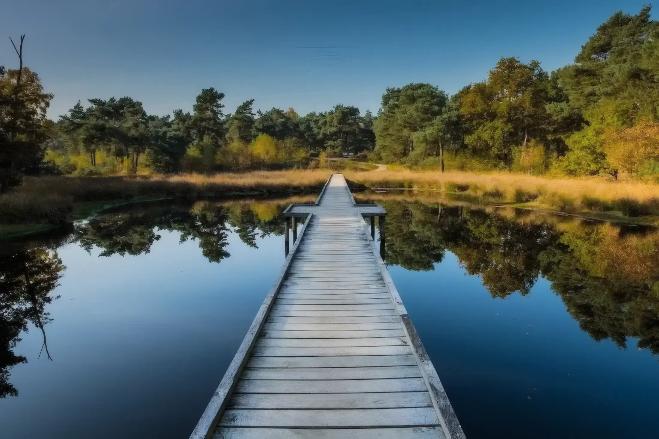 De Mooiste plekken voor een familieshoot in Midden-Limburg — foto 1