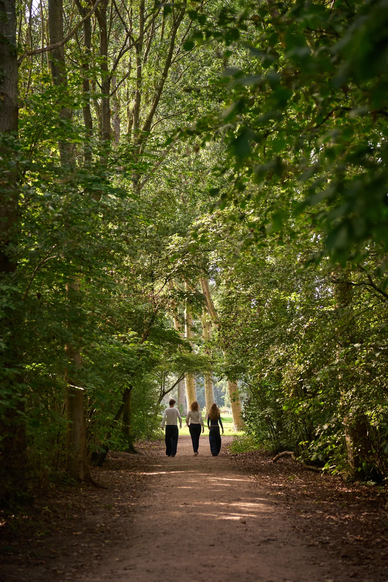Drie gezinsleden lopen over een smal pad onder een tunnel van hoge bomen in de Delftse Hout
