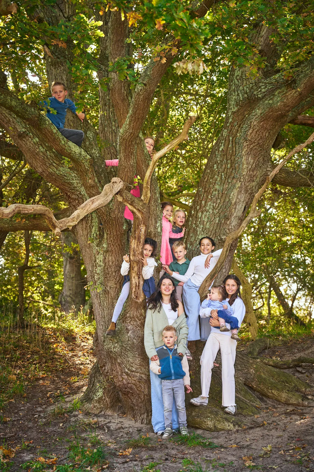 Kinderen klimmen in een grote boom terwijl de familie eronder staat