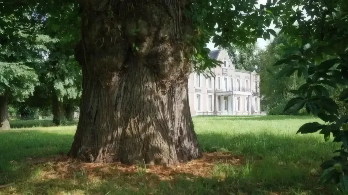 De Mooiste plekken voor een familieshoot in Midden-Limburg — foto 1