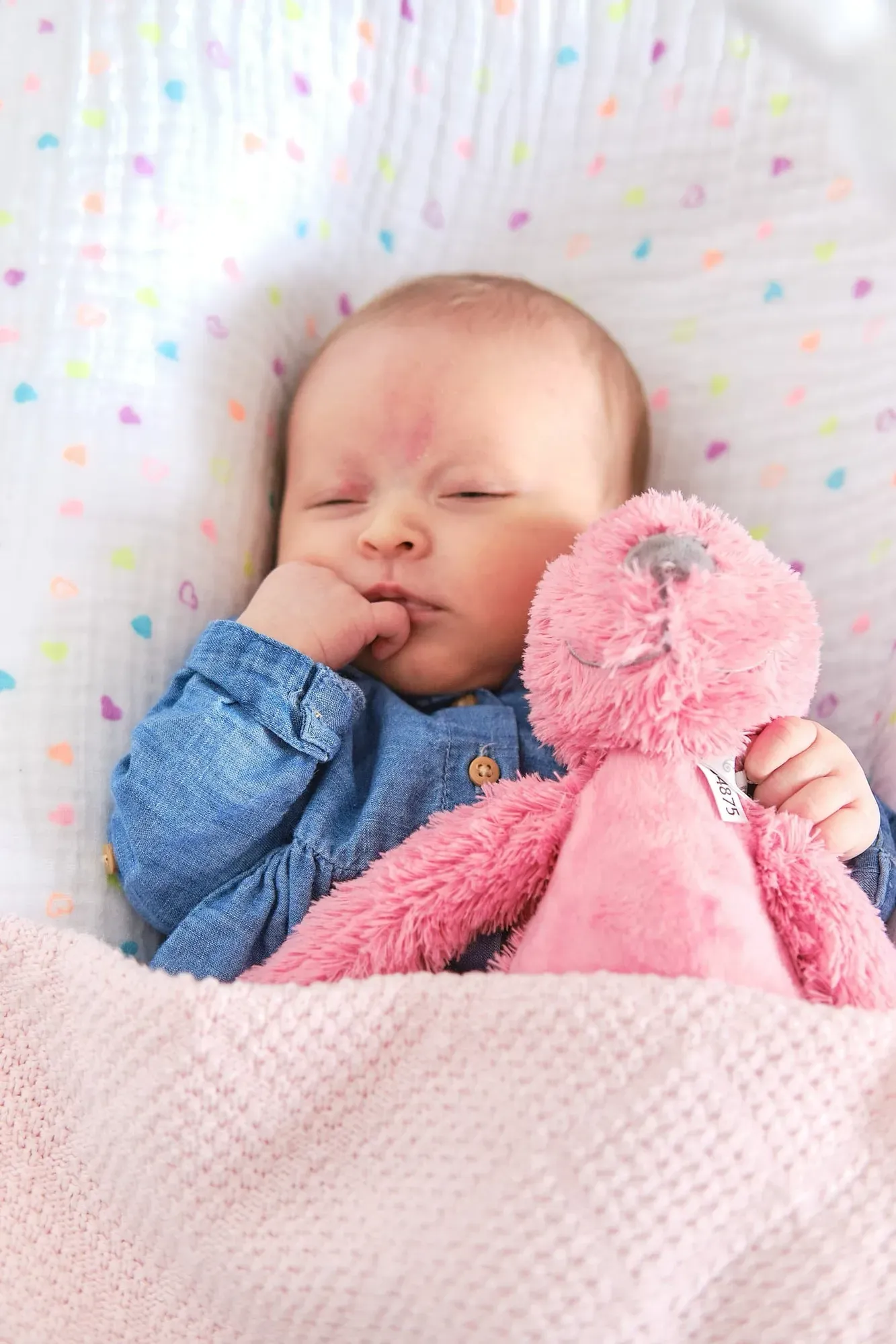 Pasgeboren baby slaapt op een dekentje met een roze knuffel