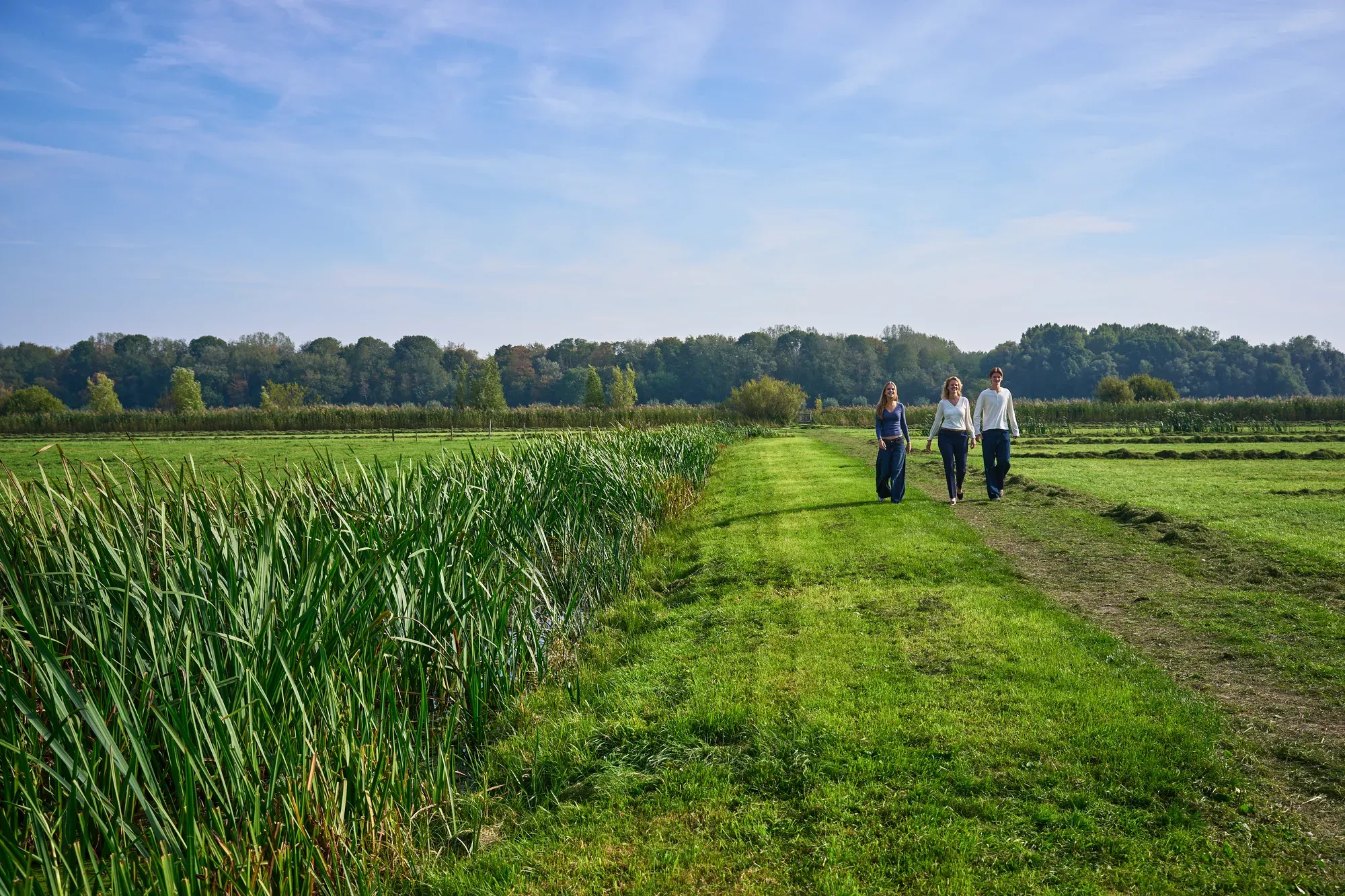 Gezin wandelt over een graspad langs het riet in de weidse Polder van Biesland