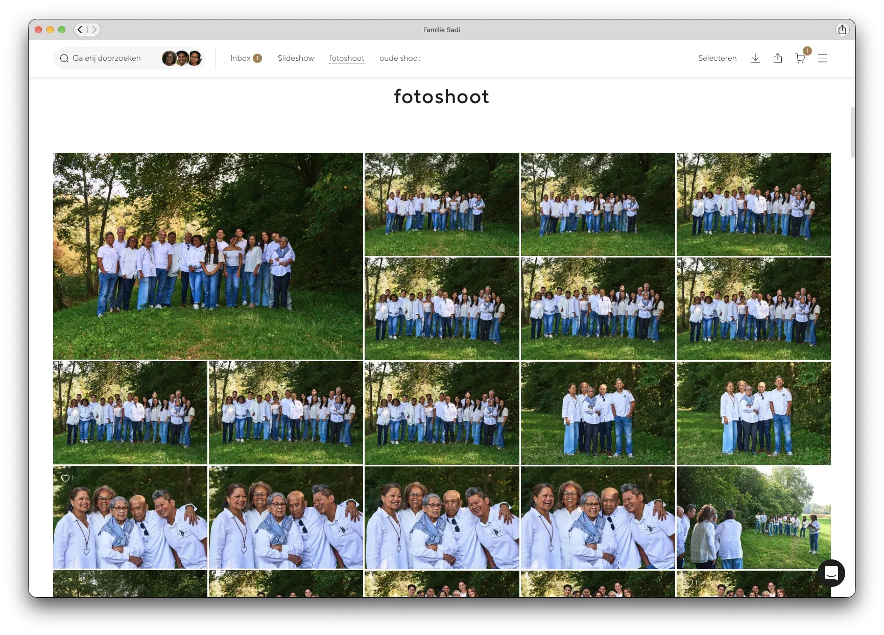 De eigen galerij van een familieshoot in PicTime, die je ziet nadat je een pakket hebt gekozen