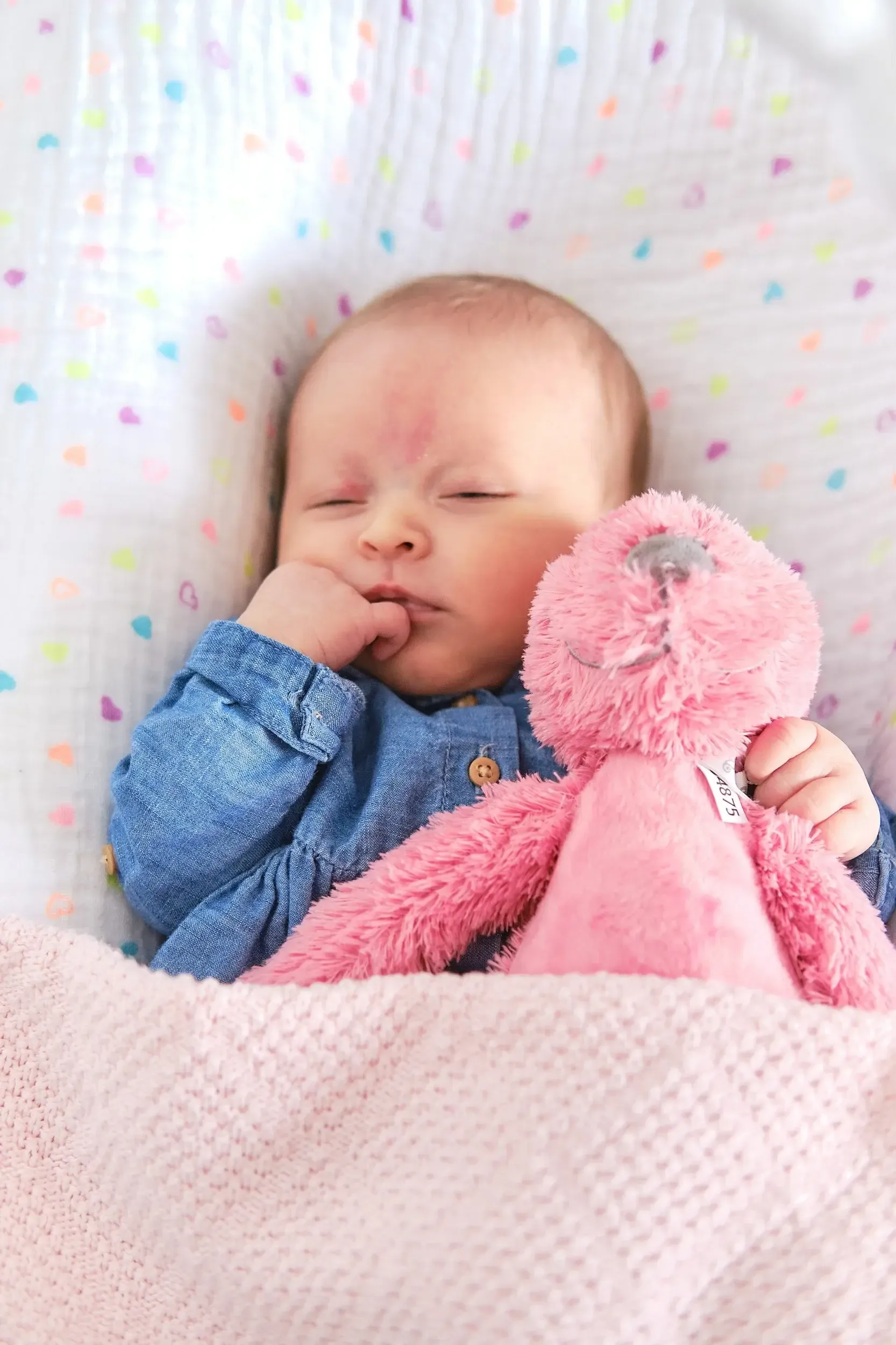 baby fotoshoot: leg de magie vast — foto 1
