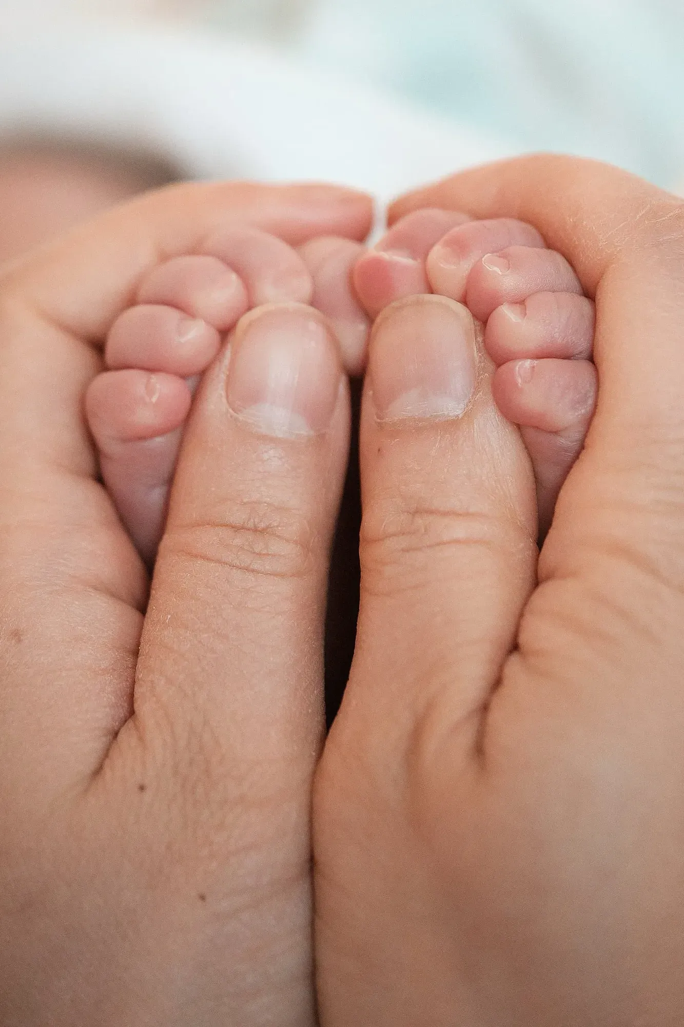 Kleine voetjes van een baby in de handen van de ouders