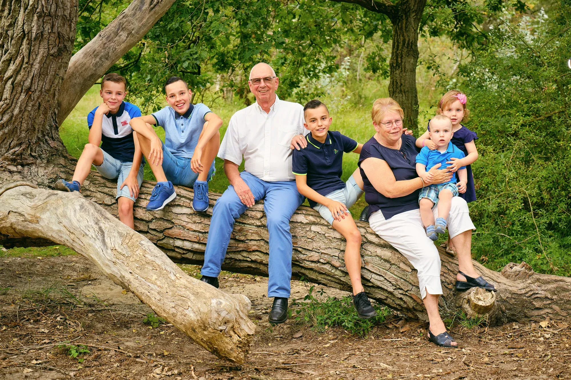 Familie zit op een dikke, omgevallen stam in de schaduw