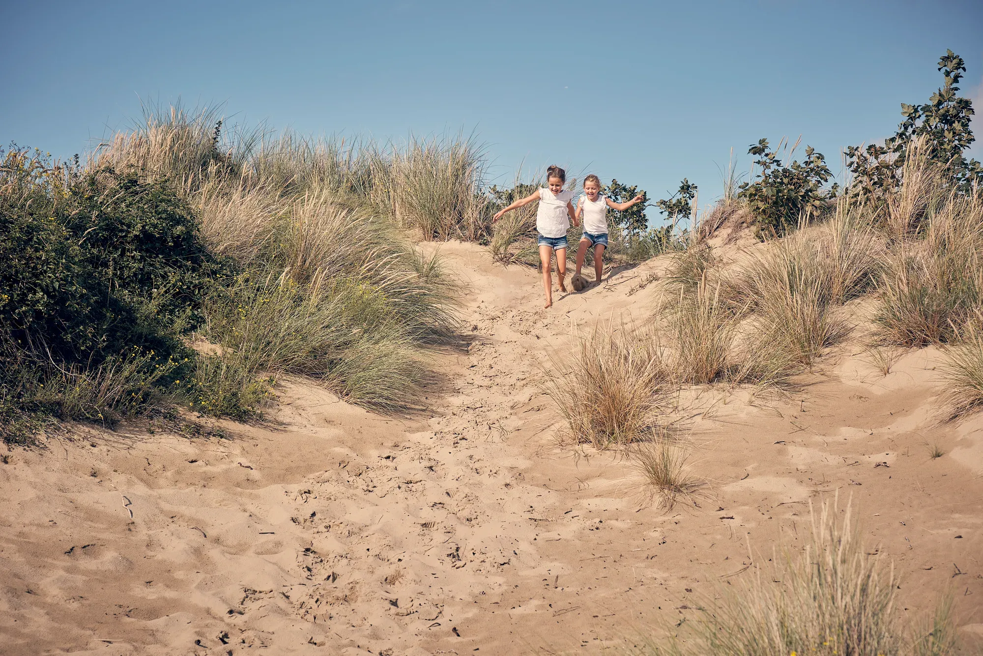 Zandpad slingert door de duinen met helmgras, met in de verte een familie