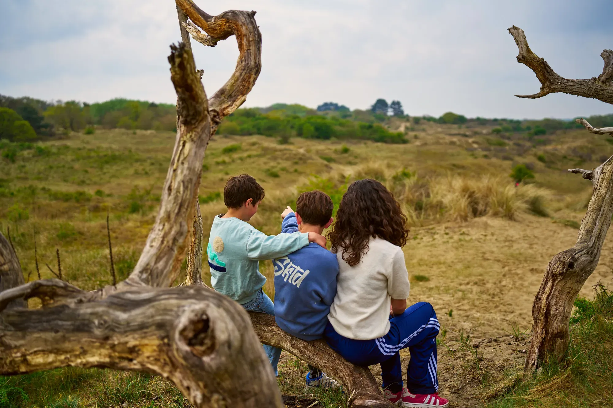 Kinderen zitten op een omgevallen dode boom in de duinen in april