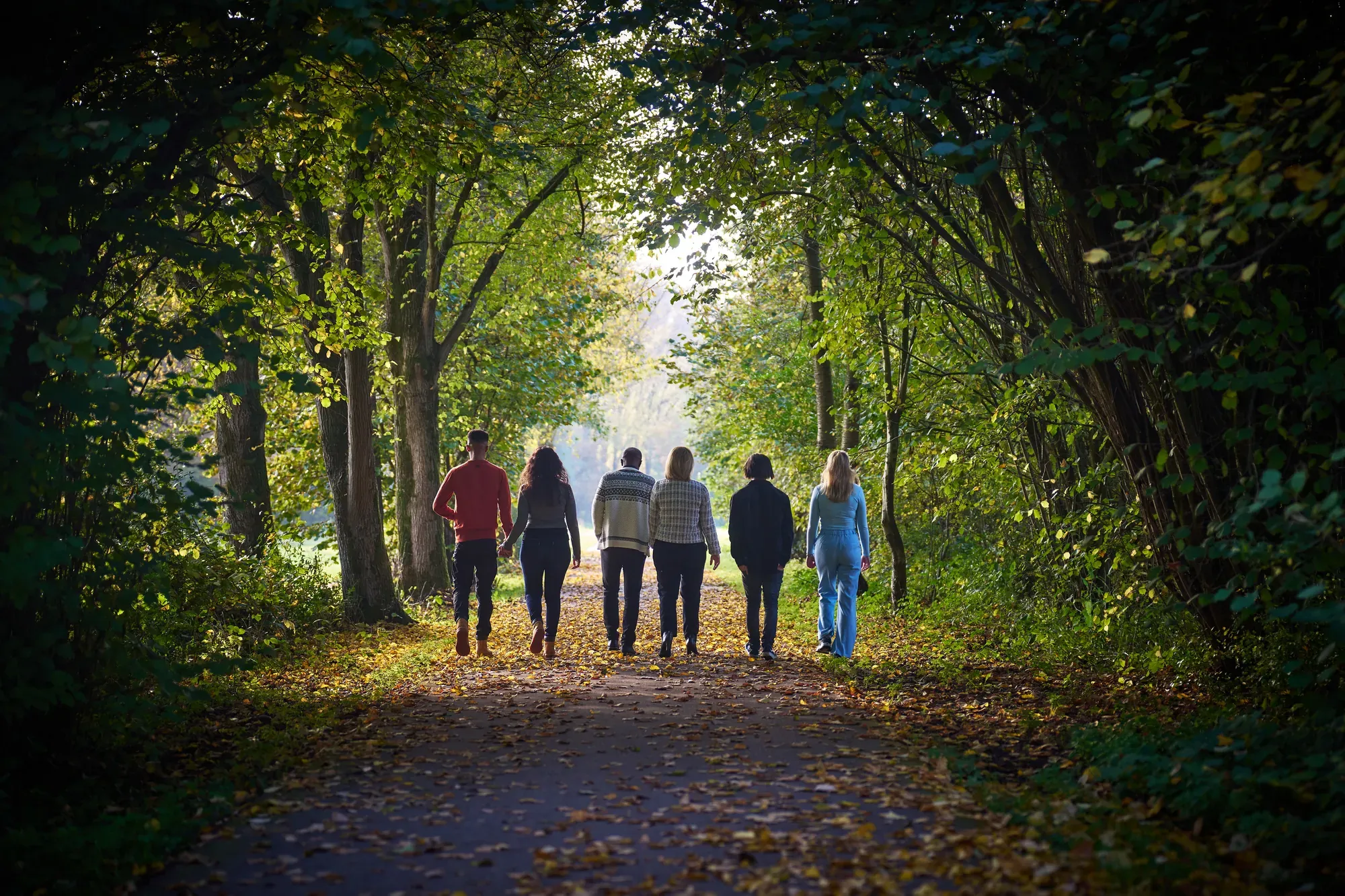 Familie loopt van de camera af over een laan met herfstbomen in het Westerpark